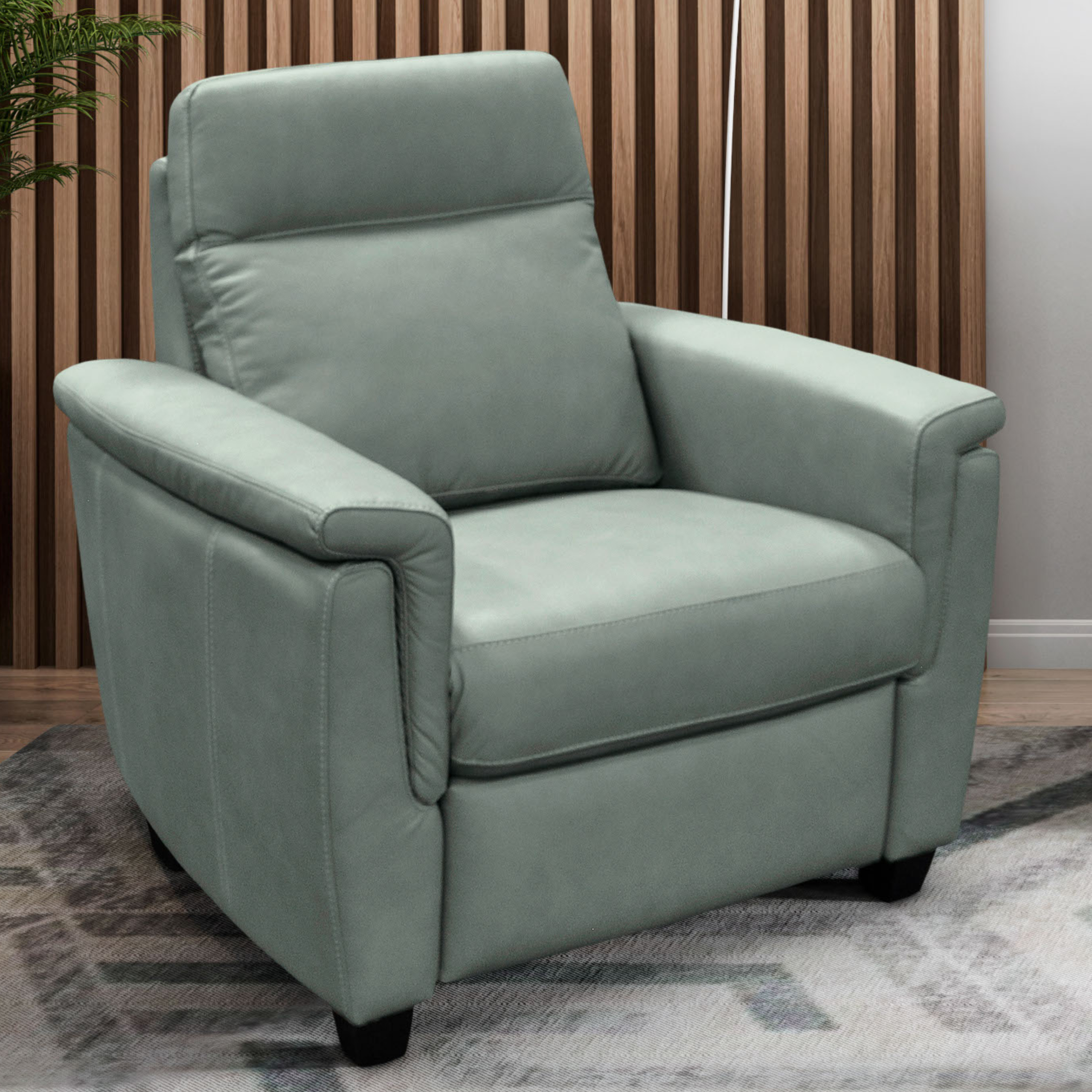 Power Solutions – 509-BC  Recliner